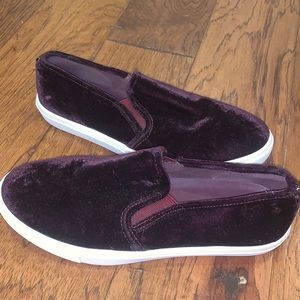 STEVE MADDEN velvet sneakers. Size 7